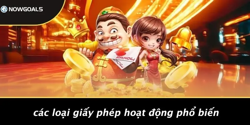 Các Loại Giấy Phép Hoạt Động Phổ Biến