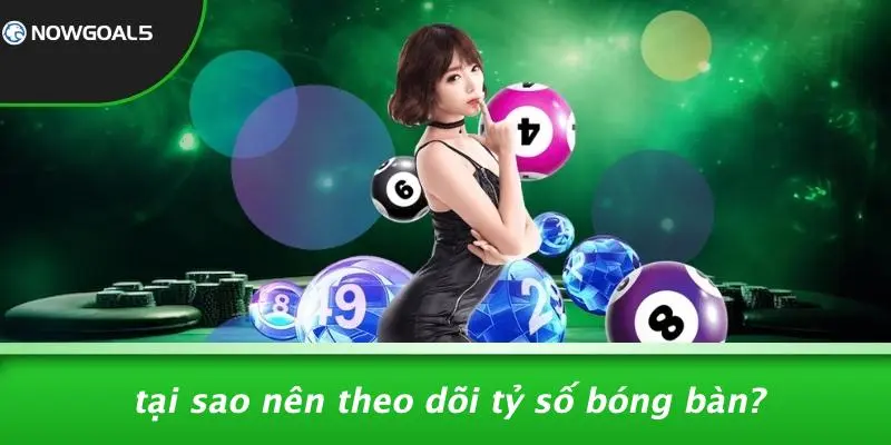 Tại Sao Nên Theo Dõi Tỷ Số Bóng Bàn?