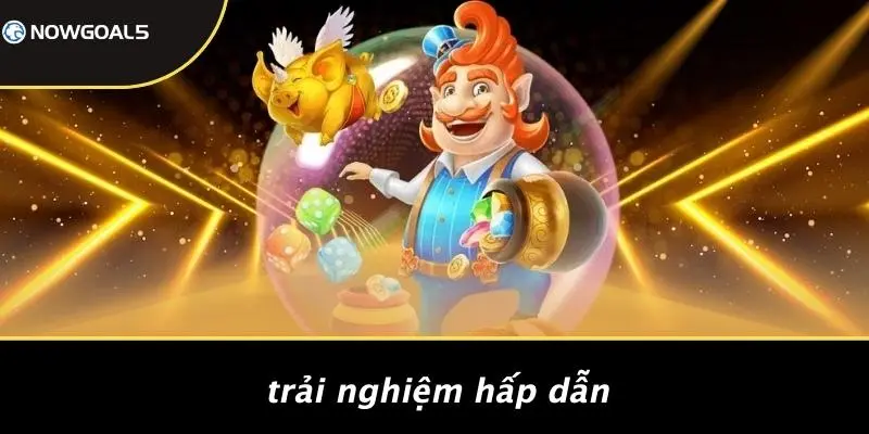 Trải Nghiệm Hấp Dẫn