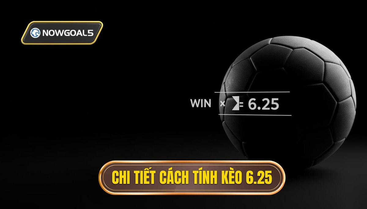 Phần 2_ Cách Tính Thắng Thua Chi Tiết Kèo 6.25