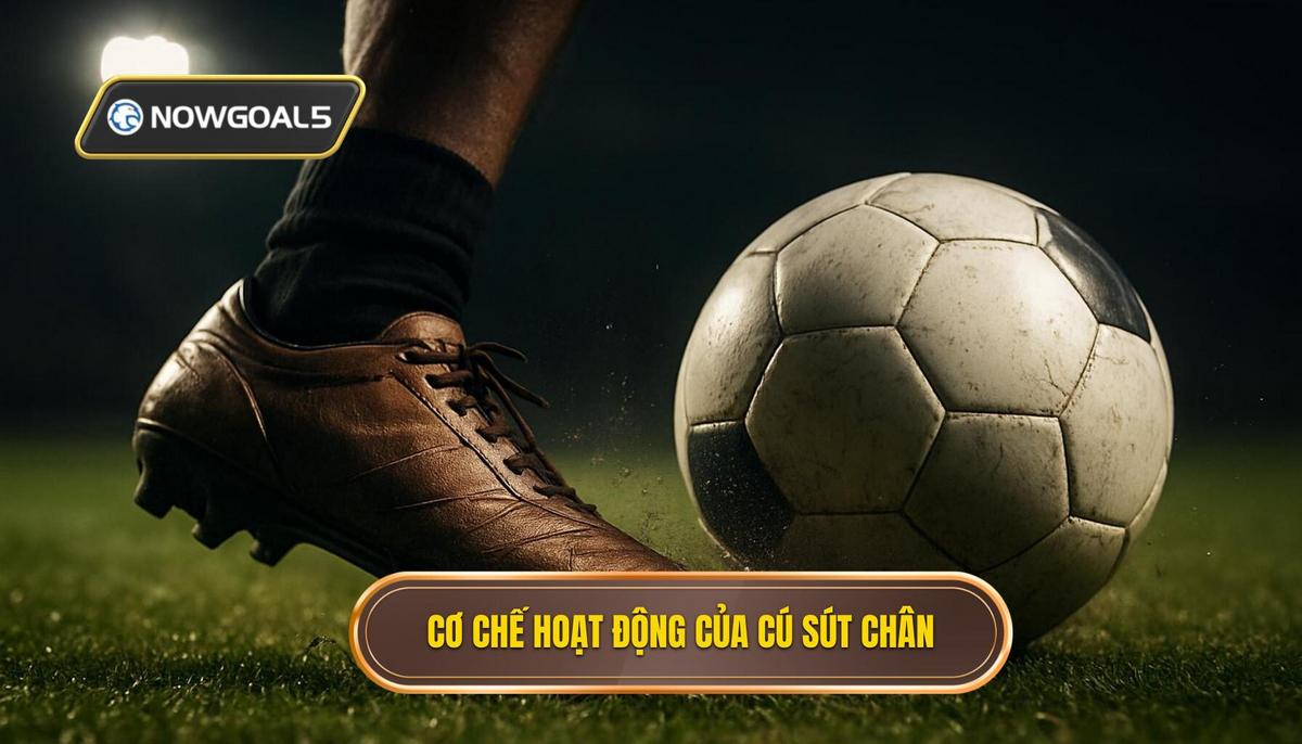 Cơ chế Hoạt động của Cú Sút Đầu Ngón Chân (Toe Poke)